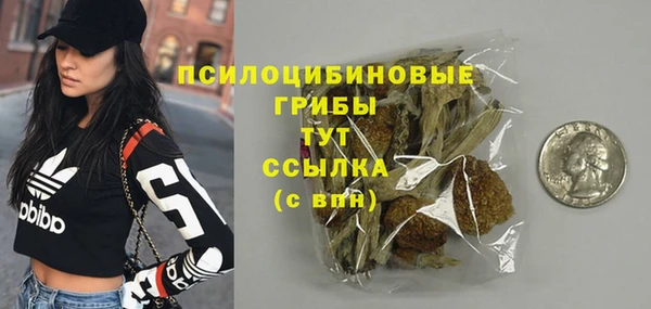 PSILOCYBIN Алексеевка