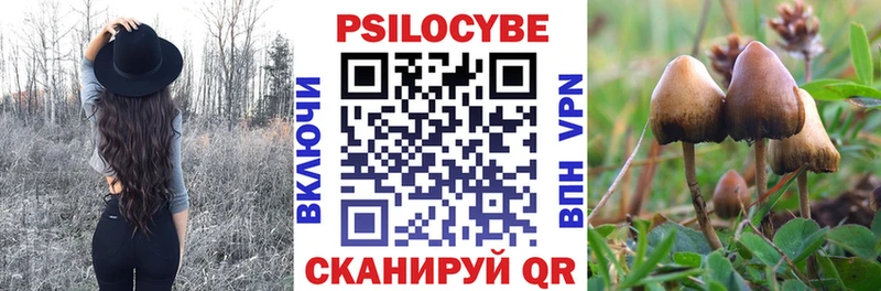 ссылка на мегу зеркало наркотики Спасск Галлюциногенные грибы GOLDEN TEACHER